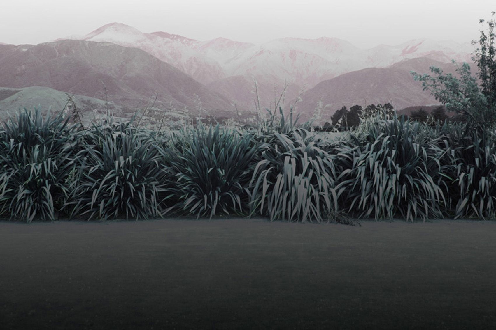 This image is printed on semi-transparent acrylic. When installed, the work leans against the wall highlighting the way the image fades from solid at the bottom